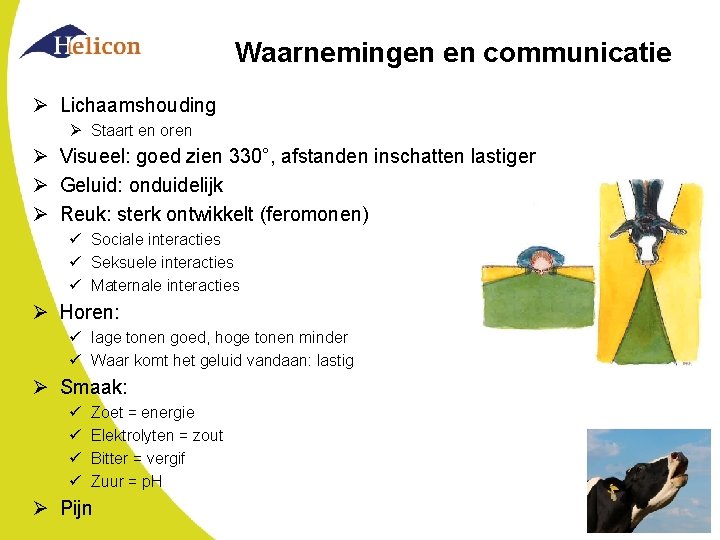 Waarnemingen en communicatie Ø Lichaamshouding Ø Staart en oren Ø Visueel: goed zien 330°,