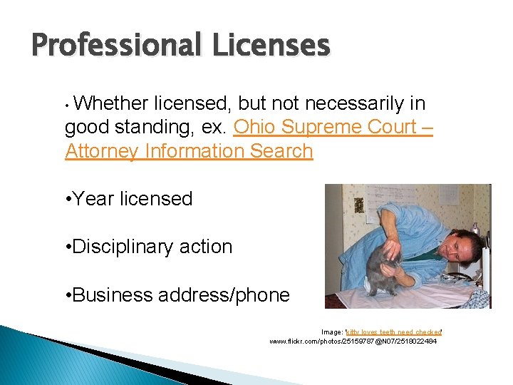 Professional Licenses • Whether licensed, but not necessarily in good standing, ex. Ohio Supreme