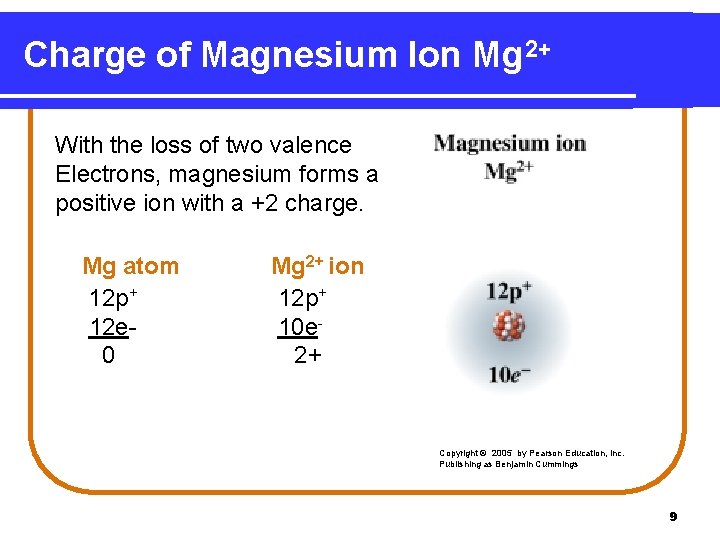Charge of Magnesium Ion Mg 2+ With the loss of two valence Electrons, magnesium