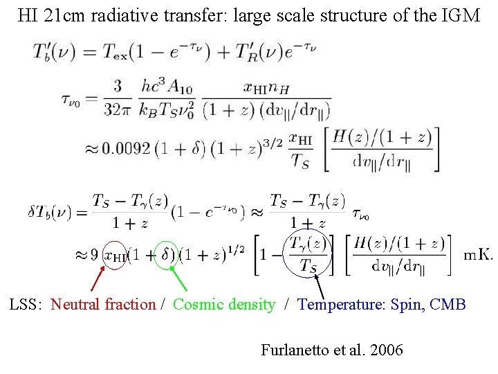 HI 21 cm radiative transfer: large scale structure of the IGM LSS: Neutral fraction