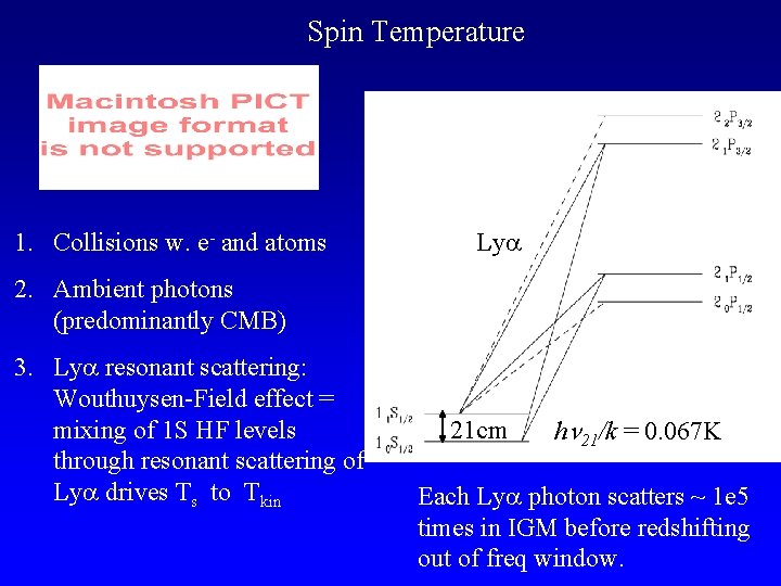 Spin Temperature 1. Collisions w. e- and atoms Ly 2. Ambient photons (predominantly CMB)