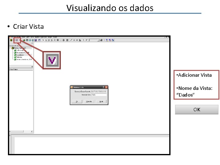 Visualizando os dados • Criar Vista • Adicionar Vista • Nome da Vista: “Dados”