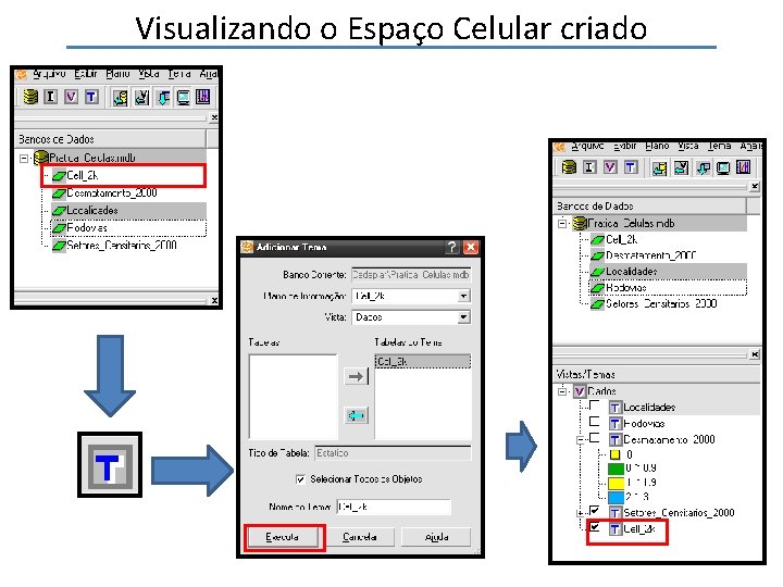 Visualizando o Espaço Celular criado 