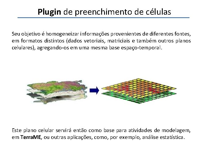 Plugin de preenchimento de células Seu objetivo é homogeneizar informações provenientes de diferentes fontes,