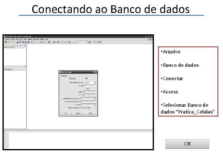 Conectando ao Banco de dados • Arquivo • Banco de dados • Conectar •