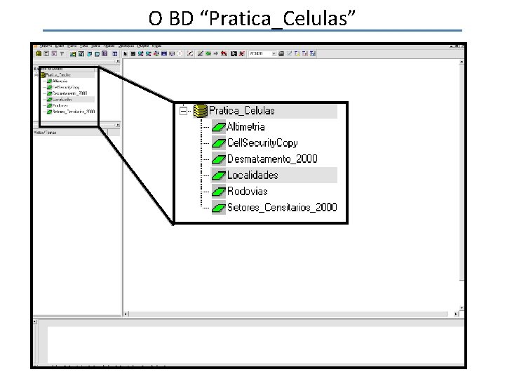 O BD “Pratica_Celulas” 