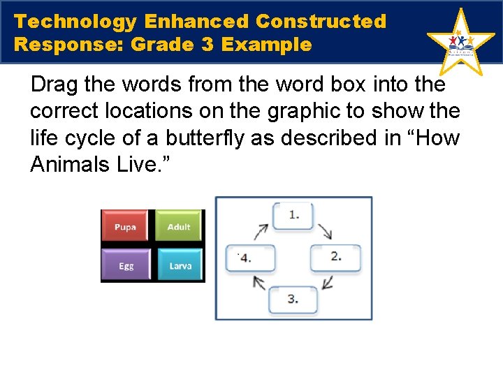 Technology Enhanced Constructed Response: Grade 3 Example Drag the words from the word box