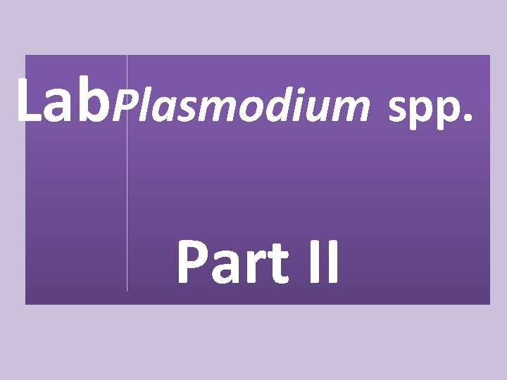 Lab. Plasmodium spp. Part II 