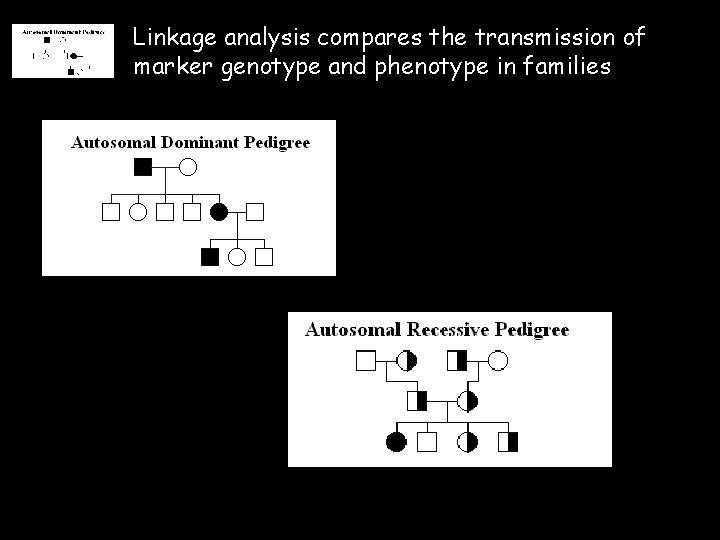 Linkage analysis compares the transmission of marker genotype and phenotype in families 