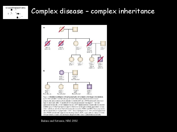 Complex disease – complex inheritance Badano and Katsanis, NRG 2002 