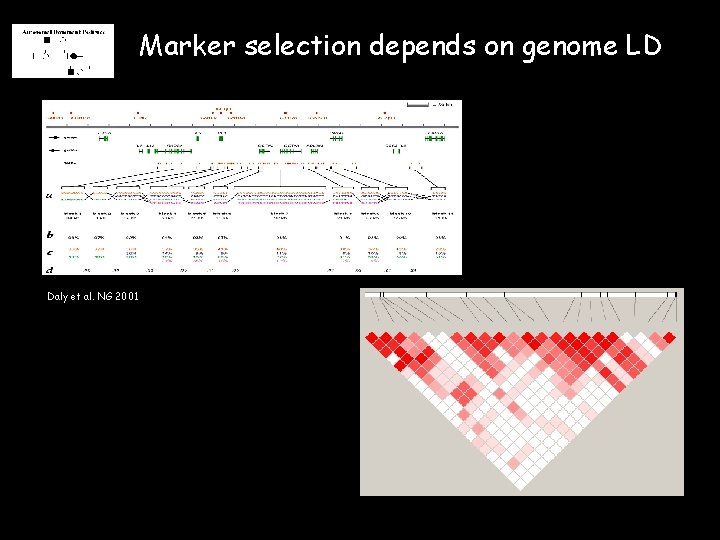 Marker selection depends on genome LD Daly et al. NG 2001 