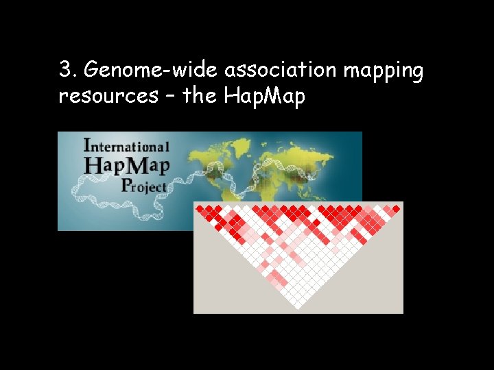 3. Genome-wide association mapping resources – the Hap. Map 