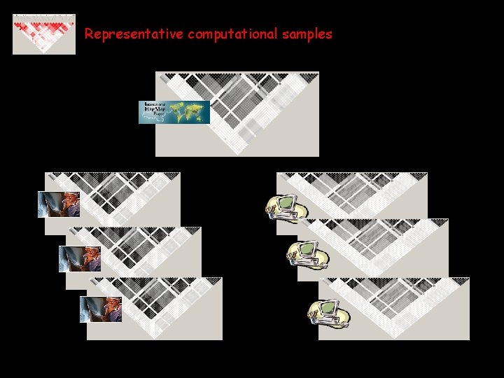 Representative computational samples 