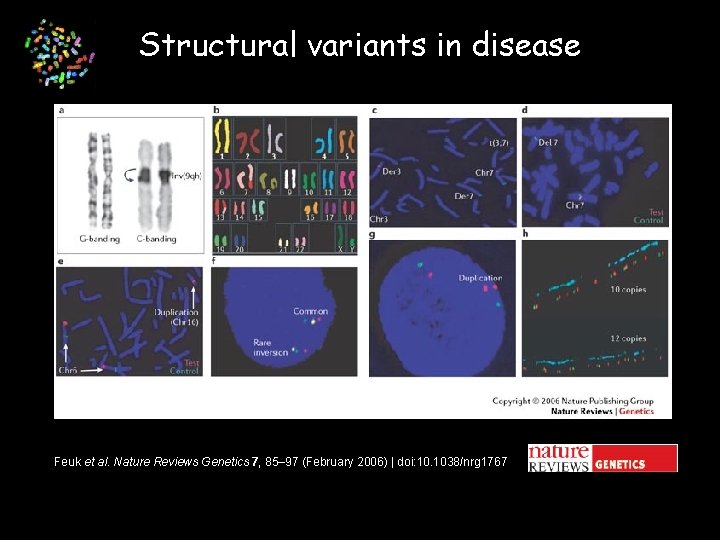 Structural variants in disease Feuk et al. Nature Reviews Genetics 7, 85– 97 (February