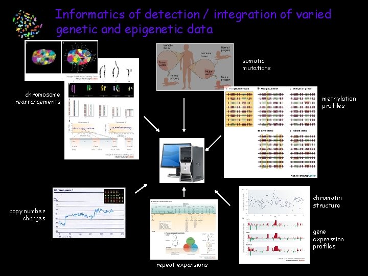 Informatics of detection / integration of varied genetic and epigenetic data somatic mutations chromosome