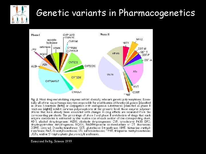 Genetic variants in Pharmacogenetics Evans and Rellig, Science 1999 