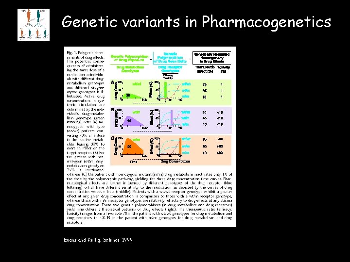 Genetic variants in Pharmacogenetics Evans and Rellig, Science 1999 