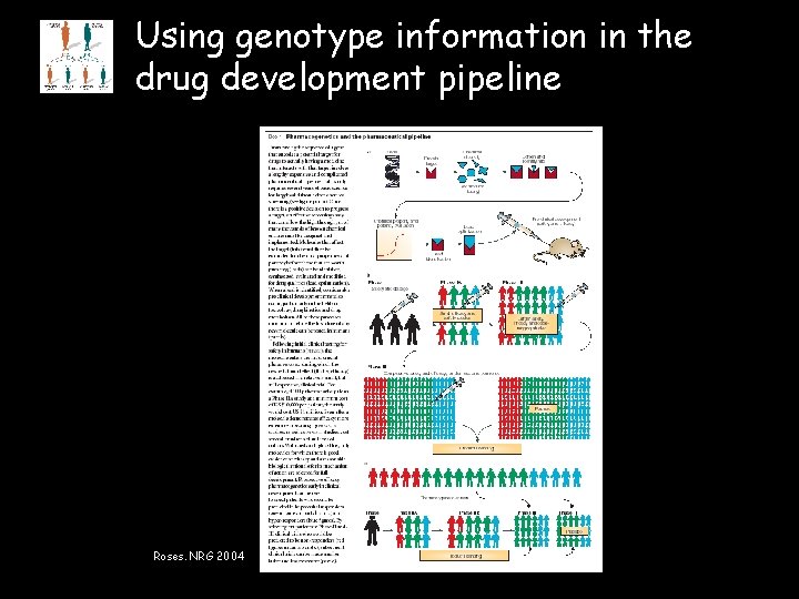 Using genotype information in the drug development pipeline Roses. NRG 2004 