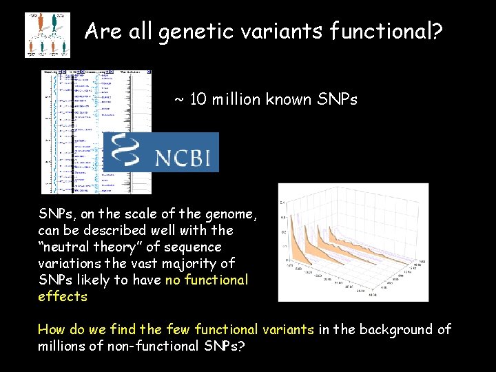 Are all genetic variants functional? ~ 10 million known SNPs, on the scale of