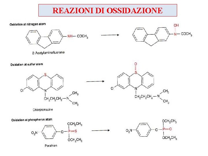 REAZIONI DI OSSIDAZIONE 