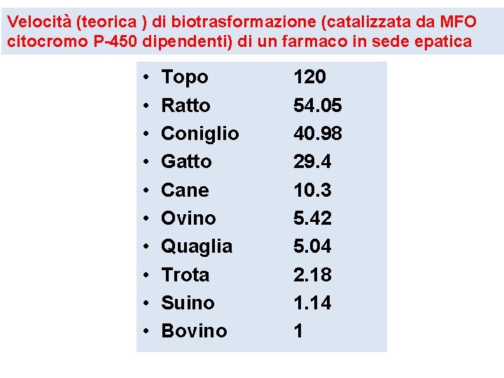 Velocità (teorica ) di biotrasformazione (catalizzata da MFO citocromo P-450 dipendenti) di un farmaco