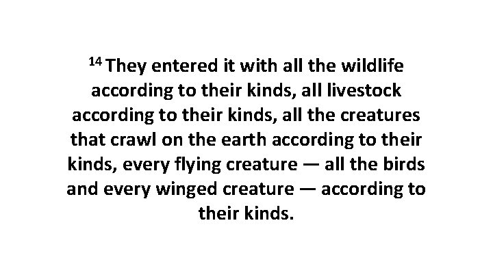 14 They entered it with all the wildlife according to their kinds, all livestock