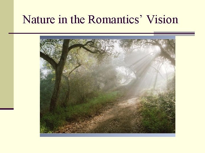 Nature in the Romantics’ Vision 