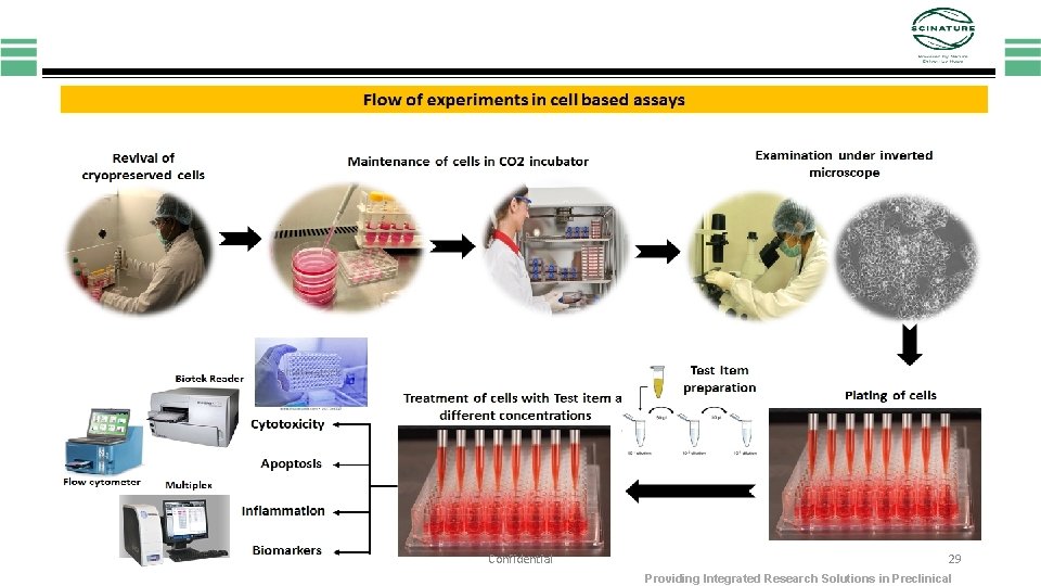 Confidential 29 Providing Integrated Research Solutions in Preclinical 