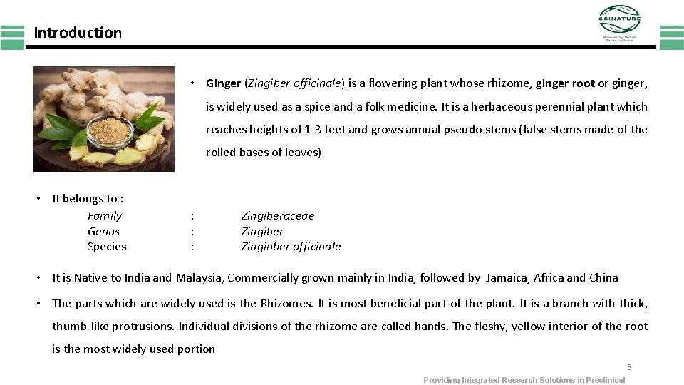 Introduction • Ginger (Zingiber officinale) is a flowering plant whose rhizome, ginger root or