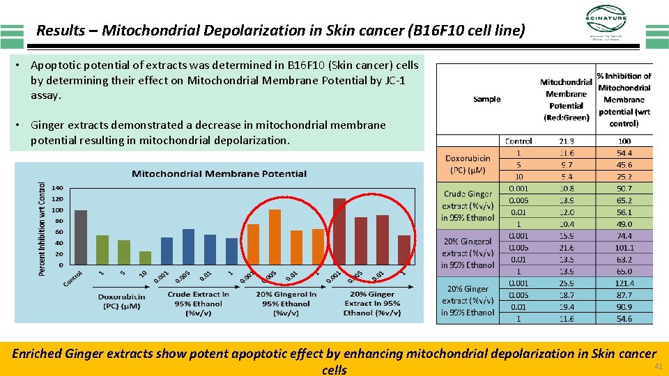 Results – Mitochondrial Depolarization in Skin cancer (B 16 F 10 cell line) •