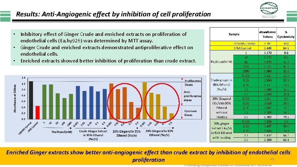 Results: Anti-Angiogenic effect by inhibition of cell proliferation • Inhibitory effect of Ginger Crude