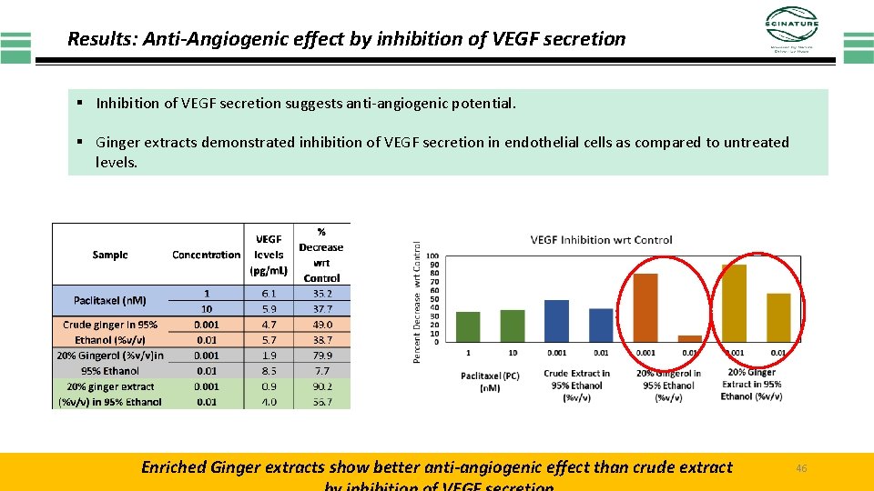 Results: Anti-Angiogenic effect by inhibition of VEGF secretion § Inhibition of VEGF secretion suggests