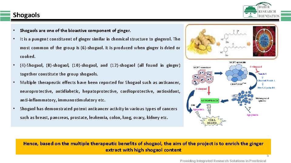 Shogaols • Shogaols are one of the bioactive component of ginger. • It is