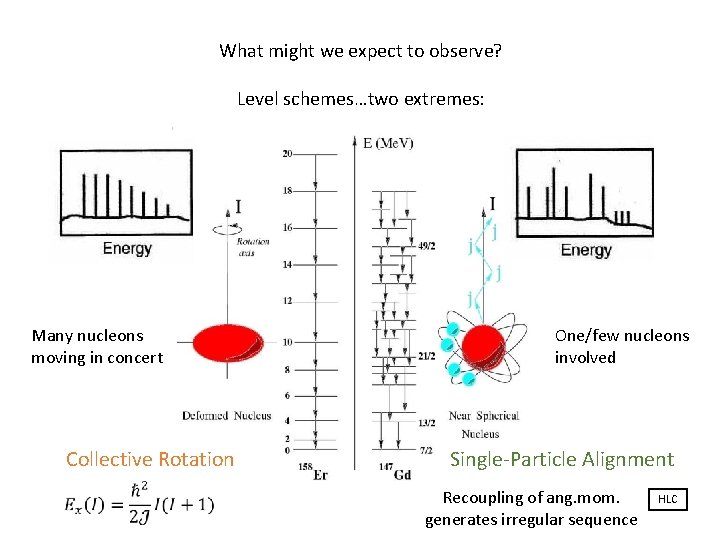 What might we expect to observe? Level schemes…two extremes: Many nucleons moving in concert