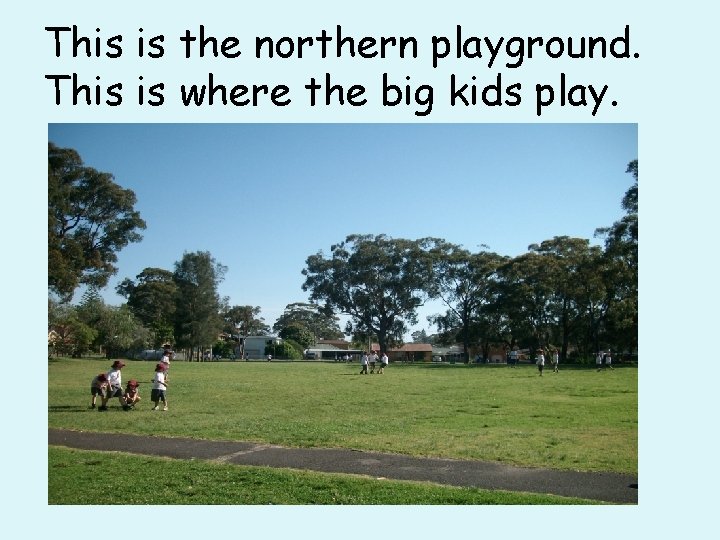 This is the northern playground. This is where the big kids play. 