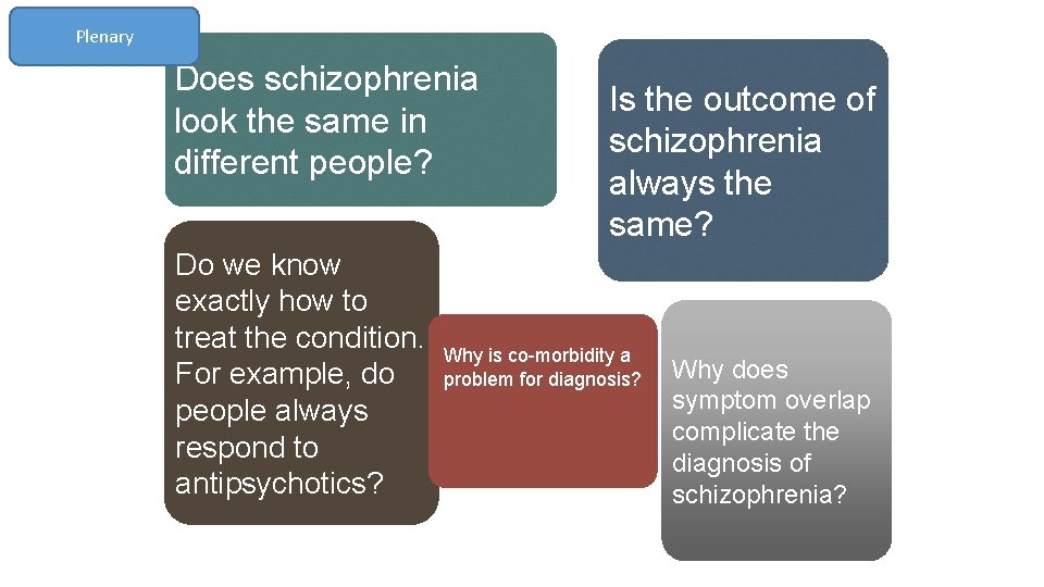 Plenary Does schizophrenia look the same in different people? Do we know exactly how