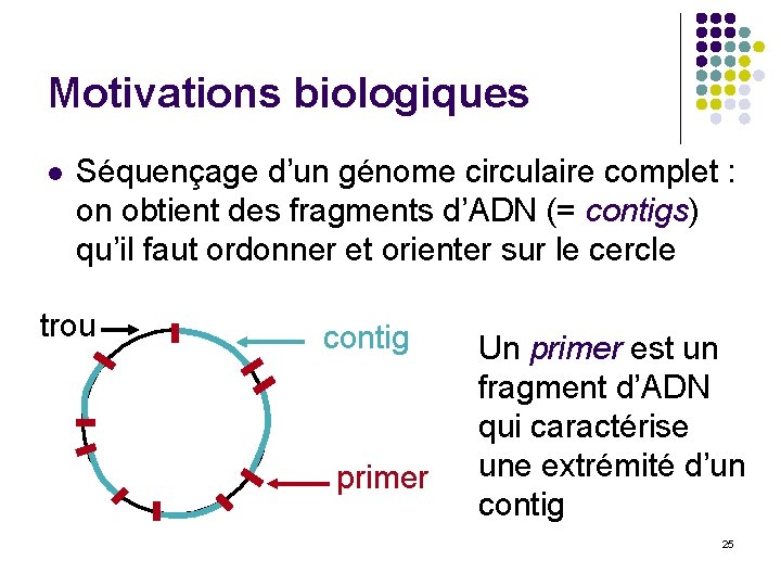 Motivations biologiques l Séquençage d’un génome circulaire complet : on obtient des fragments d’ADN