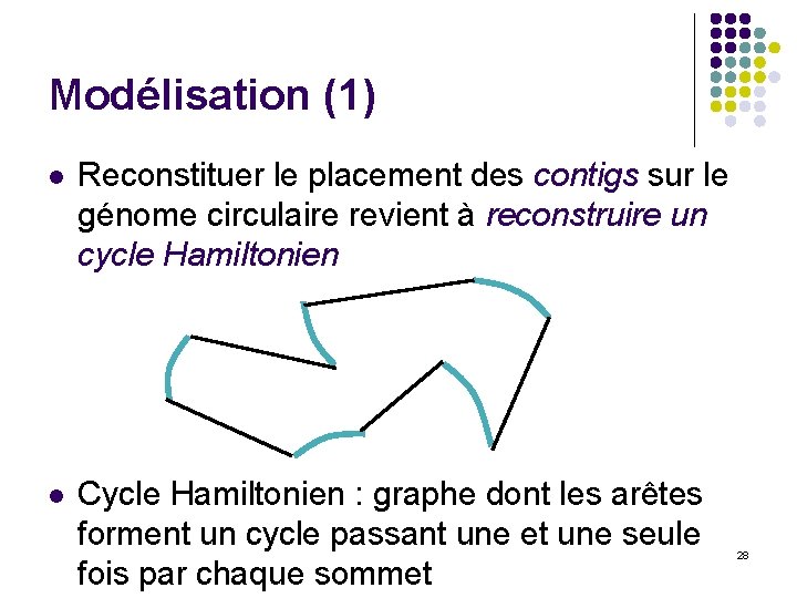 Modélisation (1) l Reconstituer le placement des contigs sur le génome circulaire revient à