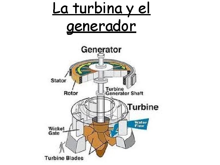 La turbina y el generador 