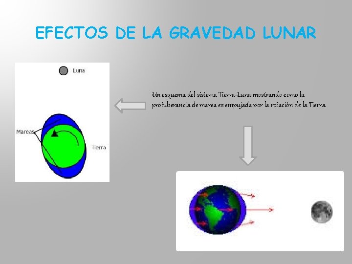 EFECTOS DE LA GRAVEDAD LUNAR Un esquema del sistema Tierra-Luna mostrando como la protuberancia