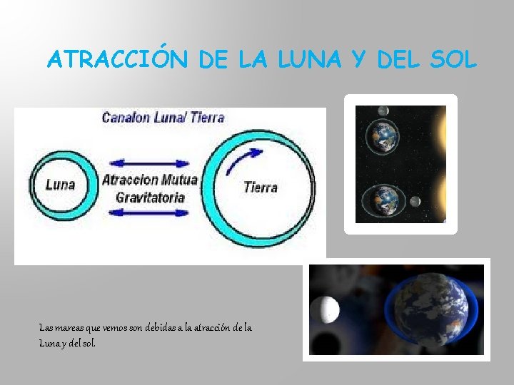 ATRACCIÓN DE LA LUNA Y DEL SOL Las mareas que vemos son debidas a