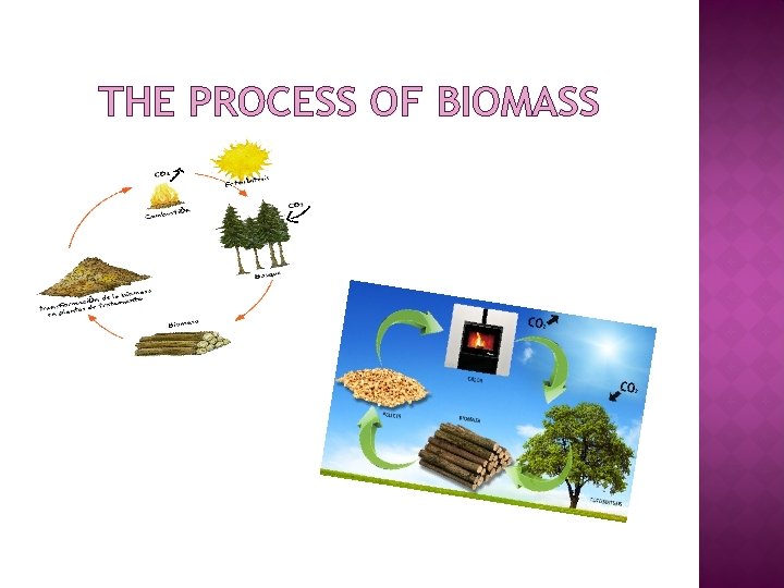 THE PROCESS OF BIOMASS 