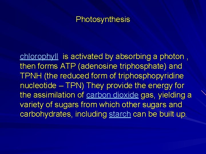 Photosynthesis chlorophyll is activated by absorbing a photon , then forms ATP (adenosine triphosphate)