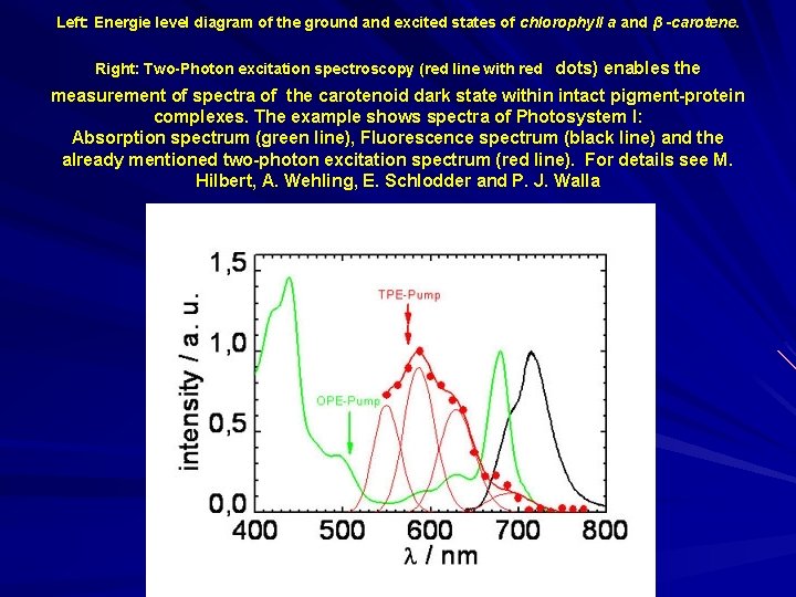 Left: Energie level diagram of the ground and excited states of chlorophyll a and