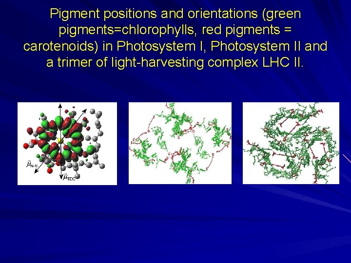 Pigment positions and orientations (green pigments=chlorophylls, red pigments = carotenoids) in Photosystem I, Photosystem