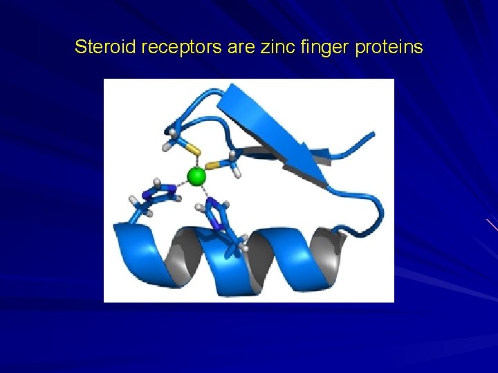 Steroid receptors are zinc finger proteins 