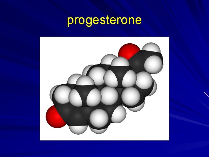 progesterone 