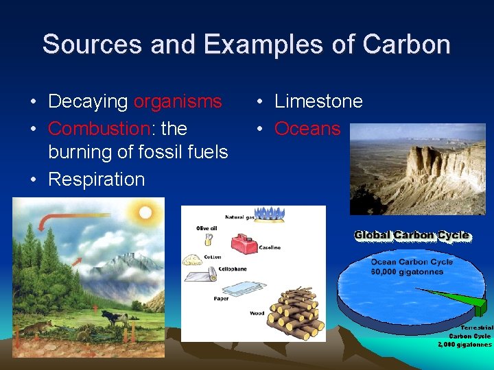 Sources and Examples of Carbon • Decaying organisms • Combustion: the burning of fossil