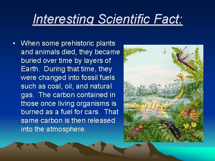 Interesting Scientific Fact: • When some prehistoric plants and animals died, they became buried