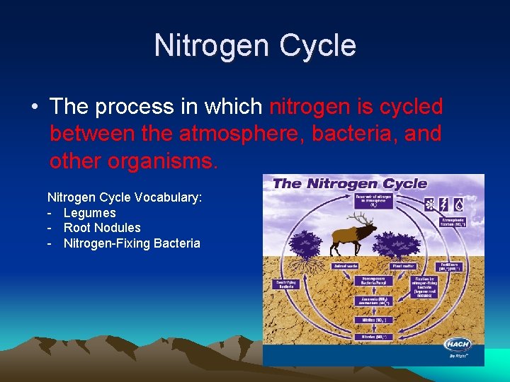 Nitrogen Cycle • The process in which nitrogen is cycled between the atmosphere, bacteria,